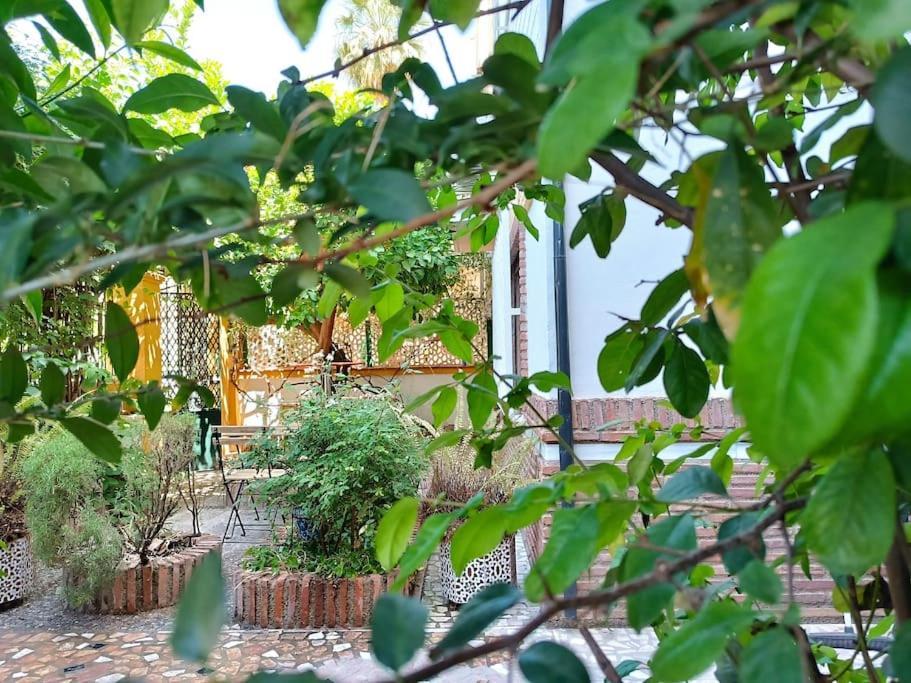 Casa Limonero Con Parking Gratis Junto A Centro Historico Villa Granada Exteriör bild