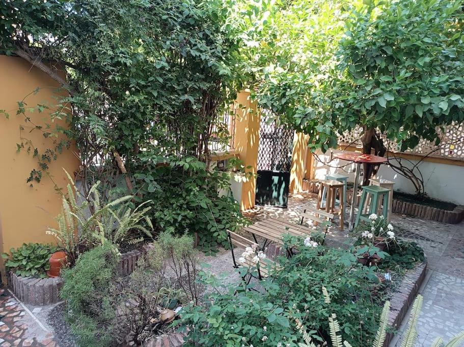 Casa Limonero Con Parking Gratis Junto A Centro Historico Villa Granada Exteriör bild