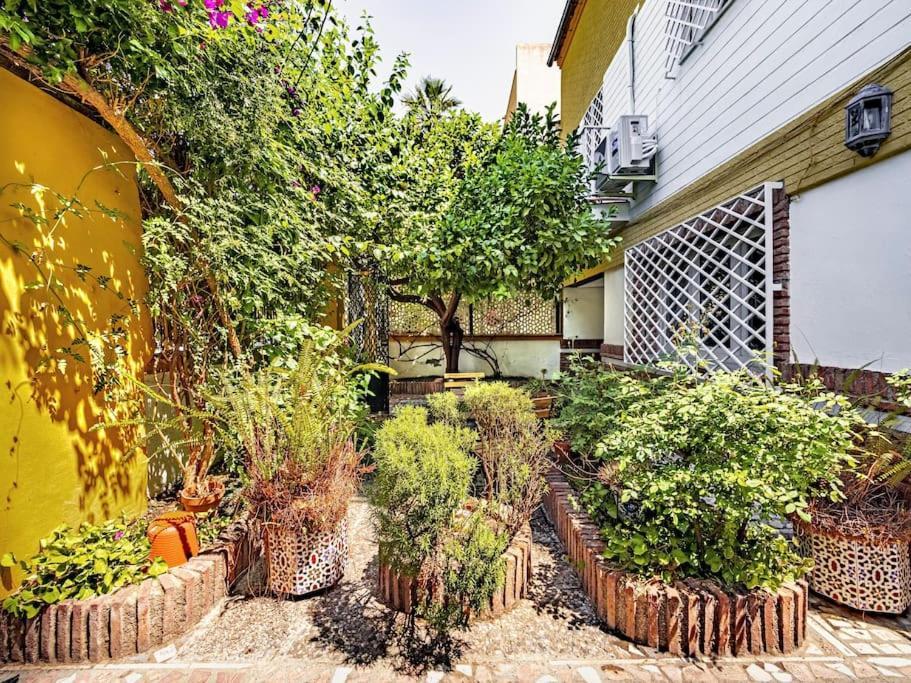 Casa Limonero Con Parking Gratis Junto A Centro Historico Villa Granada Exteriör bild