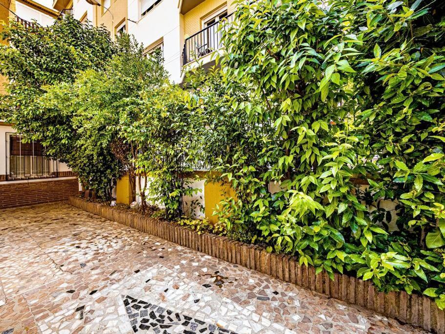 Casa Limonero Con Parking Gratis Junto A Centro Historico Villa Granada Exteriör bild